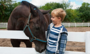Have you ever considered equine therapy for your child? Children with autism often grow tremendously when participating in equine therapy programs.