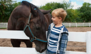 Have you ever considered equine therapy for your child? Children with autism often grow tremendously when participating in equine therapy programs.