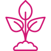 icon of a growing plant
