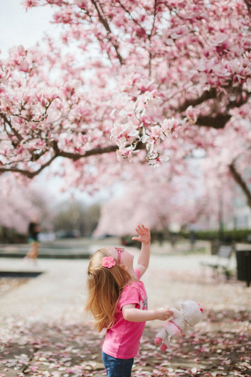 young girl in pink shirt enjoying spring flowers